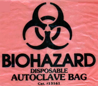 BACK2.JPG (29742 Byte)